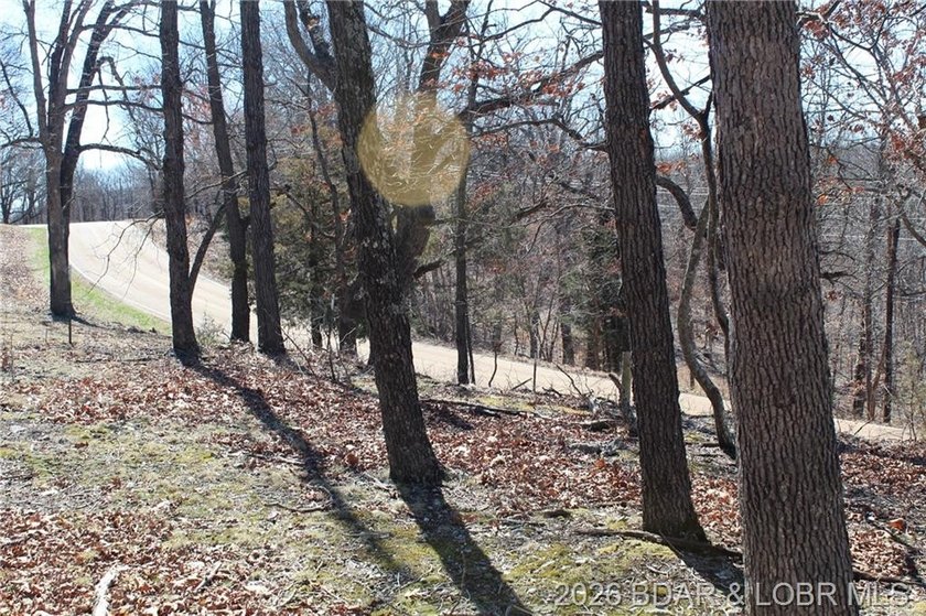 Hard-to-find 5-acre wooded tract with F Highway frontage in the - photo 8