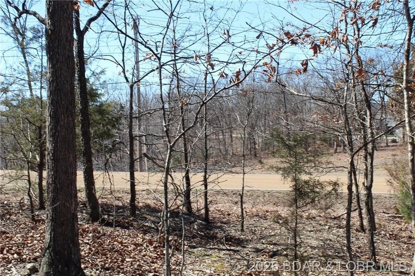 Hard-to-find 5-acre wooded tract with F Highway frontage in the - photo 9