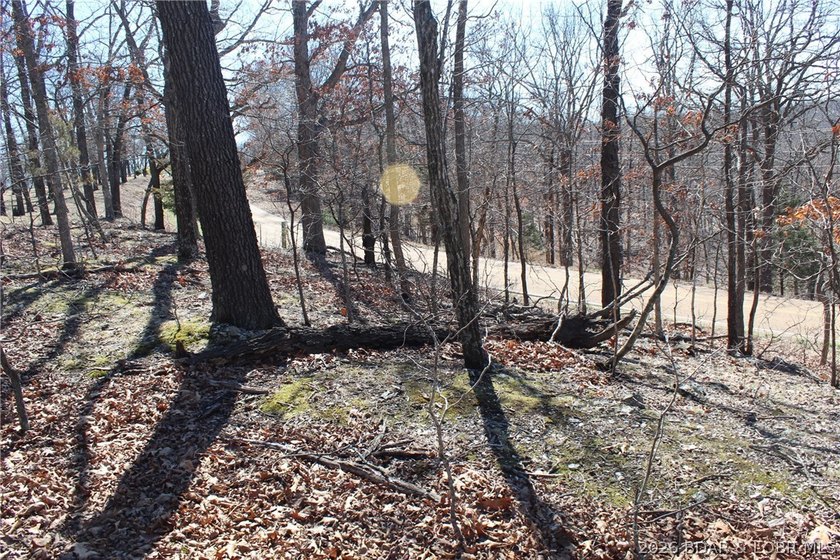 Hard-to-find 5-acre wooded tract with F Highway frontage in the - photo 10