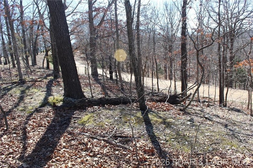 Hard-to-find 5-acre wooded tract with F Highway frontage in the - photo 10