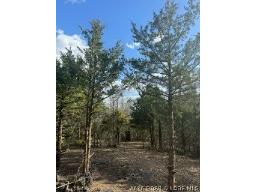 Private acreage with deeded lake access ready for your vacation - photo 6