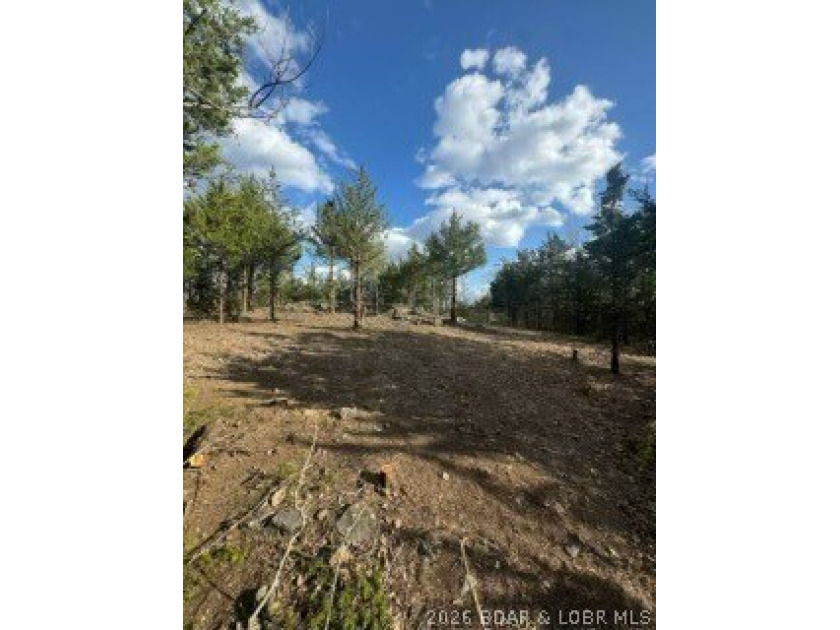 Private acreage with deeded lake access ready for your vacation - photo 7