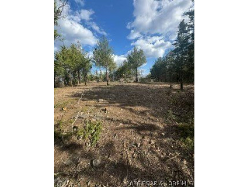Private acreage with deeded lake access ready for your vacation - photo 8