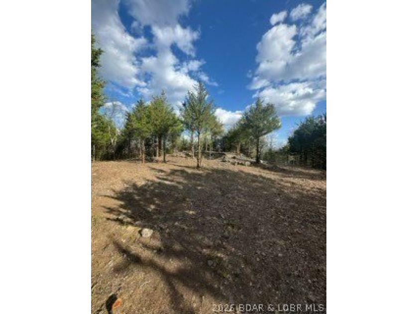Private acreage with deeded lake access ready for your vacation - photo 9