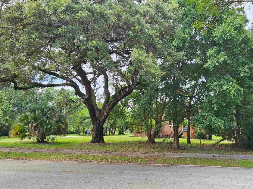 This parcel of land on Palafox in North Hill is an absolute gem - photo 4