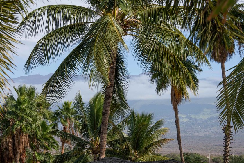 A serene and private retreat in the heart of all of Kihei's - photo 27