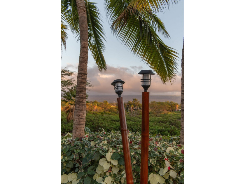 A serene and private retreat in the heart of all of Kihei's - photo 38