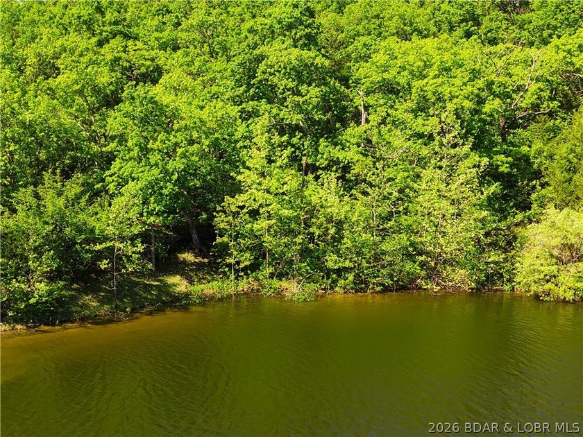 RARE DOUBLE LAKEFRONT OPPORTUNITY ON POCAHONTAS LAKE! Own - photo 2