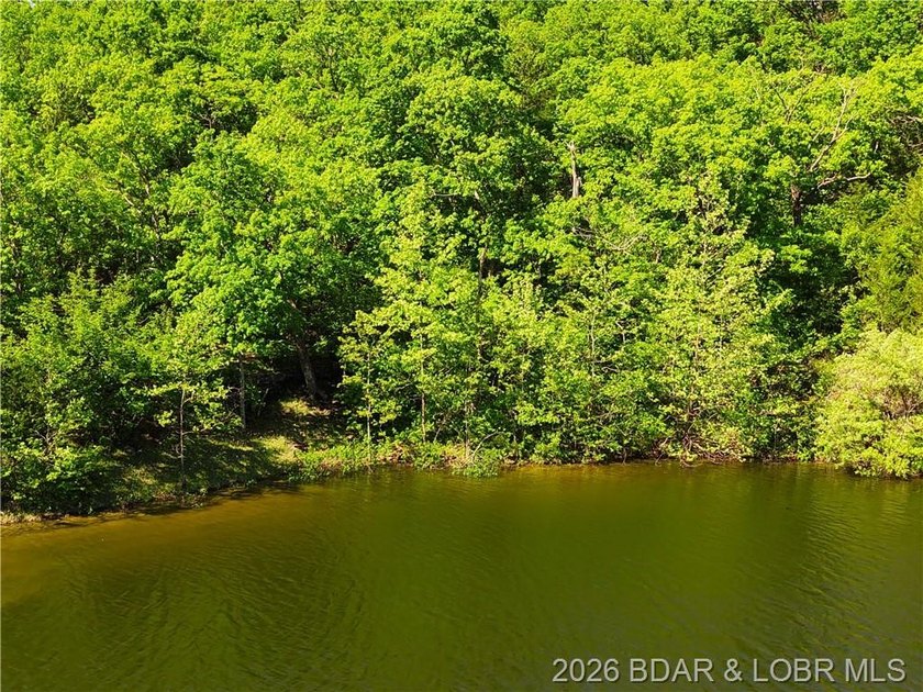 RARE DOUBLE LAKEFRONT OPPORTUNITY ON POCAHONTAS LAKE! Own - photo 2