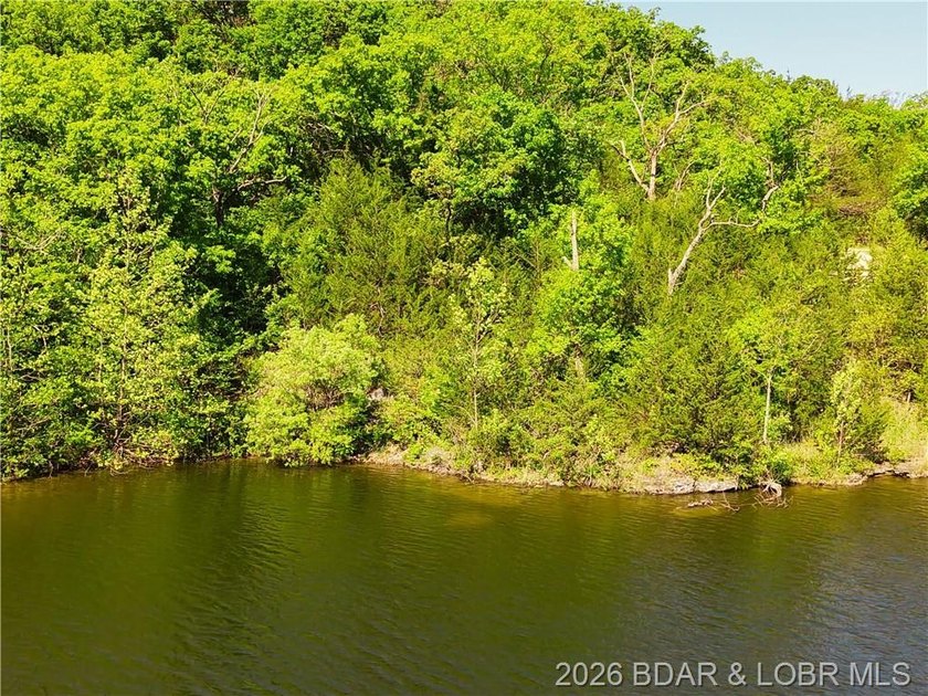 RARE DOUBLE LAKEFRONT OPPORTUNITY ON POCAHONTAS LAKE! Own - photo 3