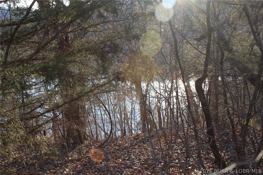 RARE DOUBLE LAKEFRONT OPPORTUNITY ON POCAHONTAS LAKE! Own - photo 7