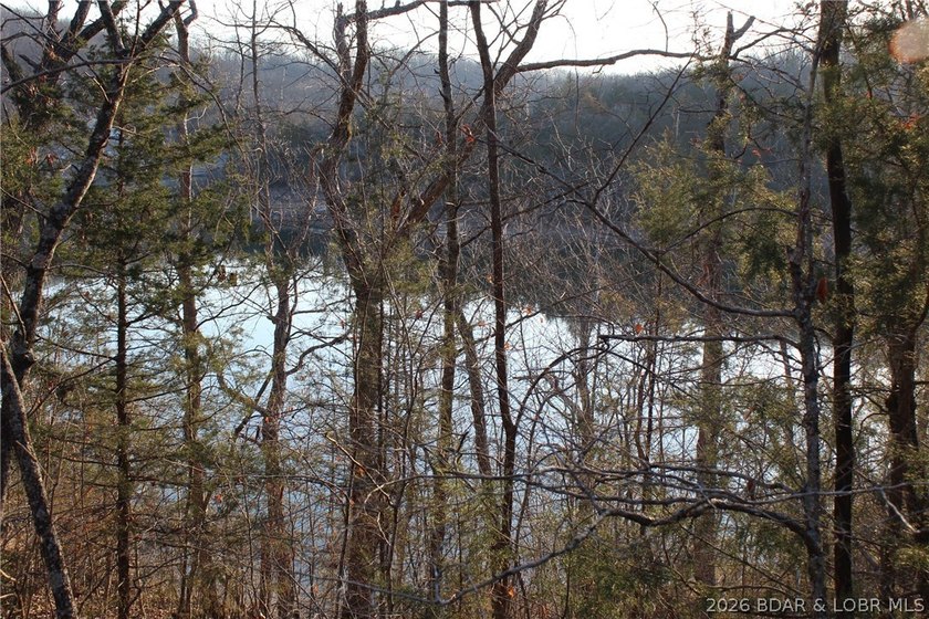 RARE DOUBLE LAKEFRONT OPPORTUNITY ON POCAHONTAS LAKE! Own - photo 8