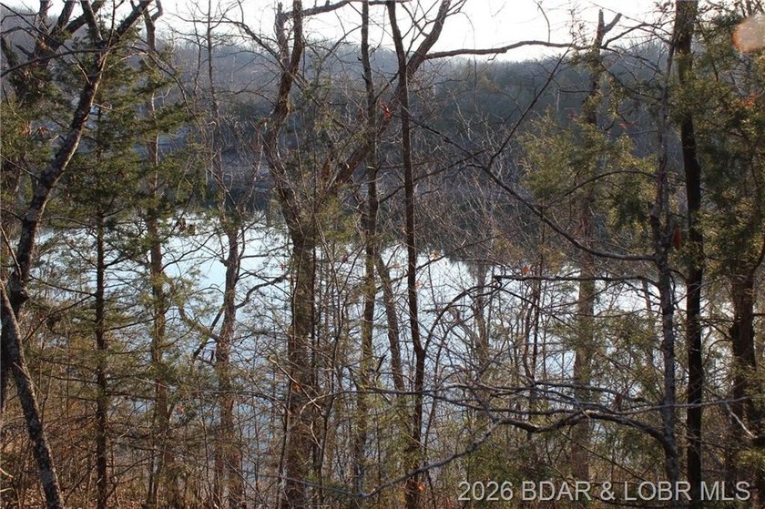 RARE DOUBLE LAKEFRONT OPPORTUNITY ON POCAHONTAS LAKE! Own - photo 8