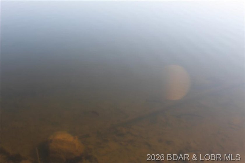 RARE DOUBLE LAKEFRONT OPPORTUNITY ON POCAHONTAS LAKE! Own - photo 9
