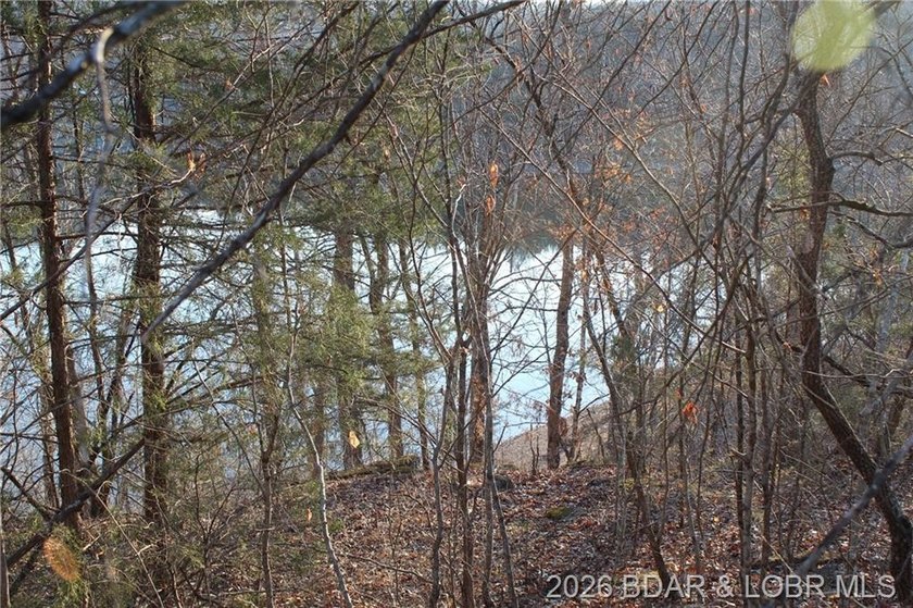 RARE DOUBLE LAKEFRONT OPPORTUNITY ON POCAHONTAS LAKE! Own - photo 10