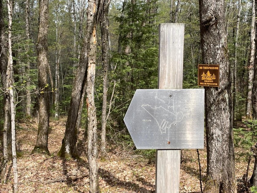 1.55 nicely wooded Acres in Natural Lakes Preserve ready for - photo 11