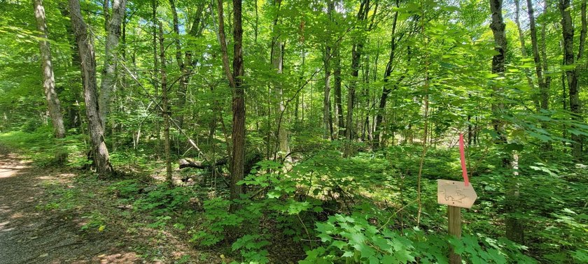 1.55 nicely wooded Acres in Natural Lakes Preserve ready for - photo 18