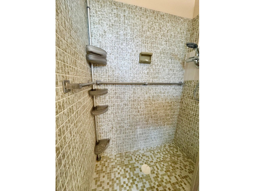 Elegantly decorated 2 bedroom 2 bath Villa located in the 55+ - photo 18