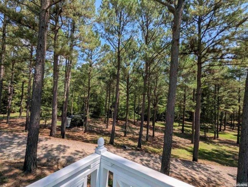 This lovely 3-bedroom, 2-bathroom home offers 1,632 square feet - photo 33