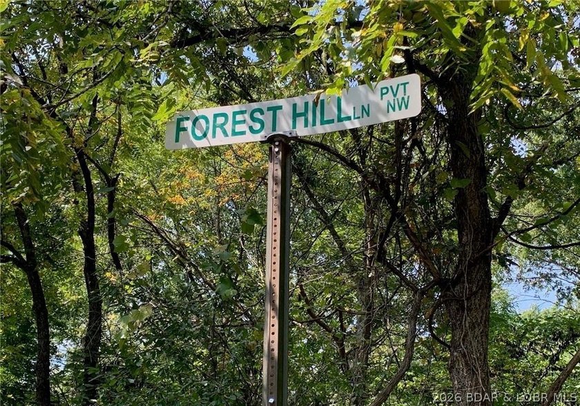 17 wooded acres with a clearing at the top of the property to - photo 2