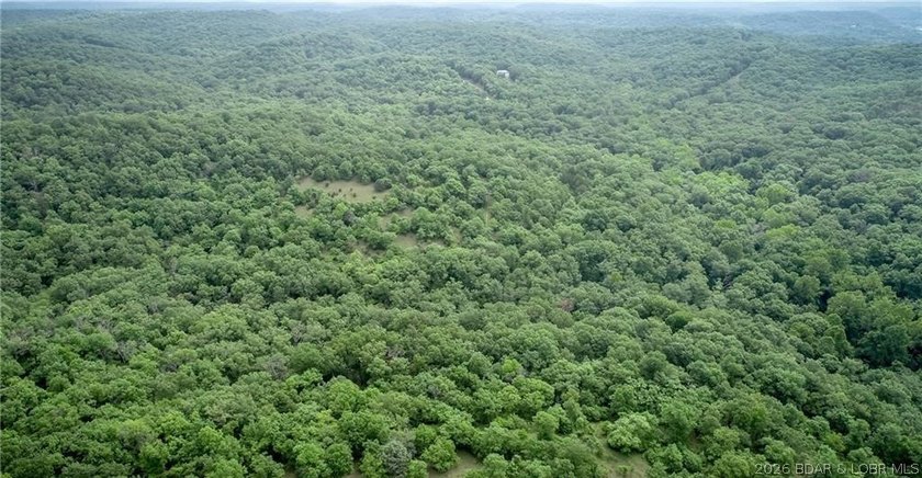 17 wooded acres with a clearing at the top of the property to - photo 5
