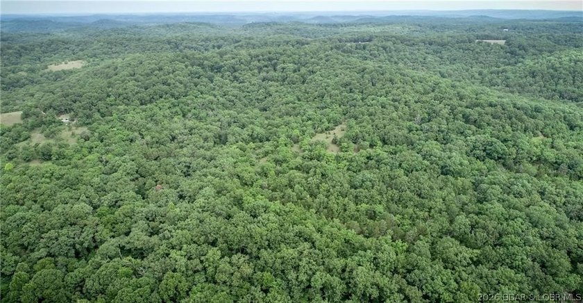 17 wooded acres with a clearing at the top of the property to - photo 6