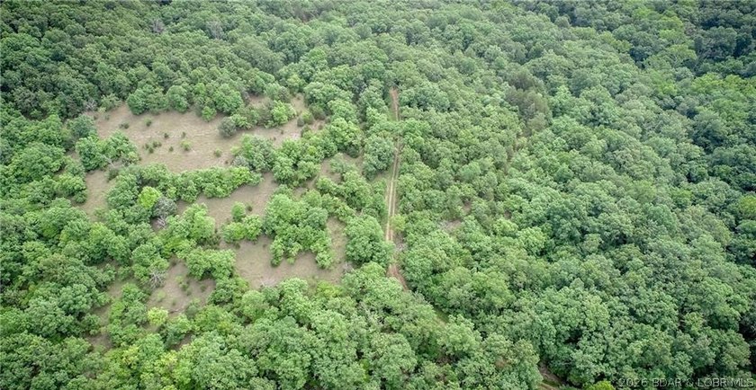 17 wooded acres with a clearing at the top of the property to - photo 7