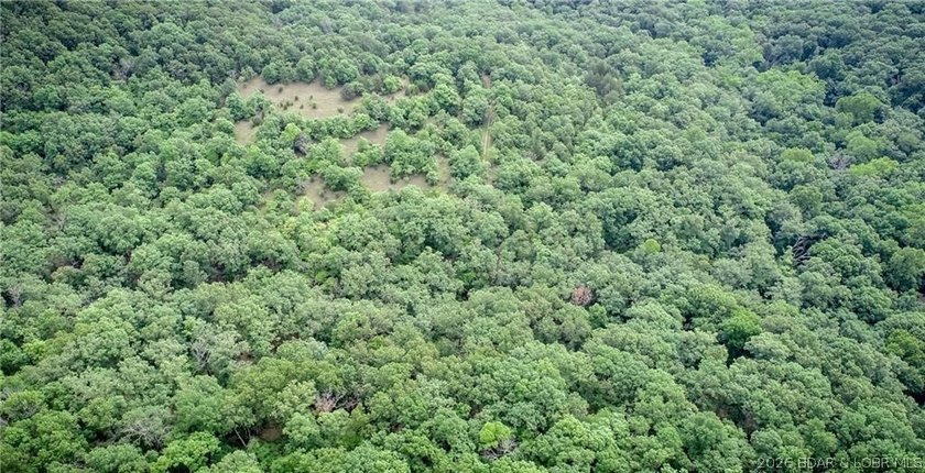 17 wooded acres with a clearing at the top of the property to - photo 8