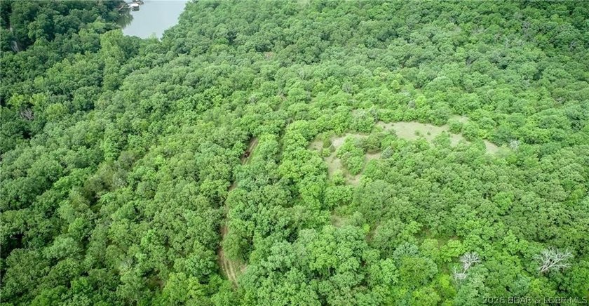17 wooded acres with a clearing at the top of the property to - photo 9