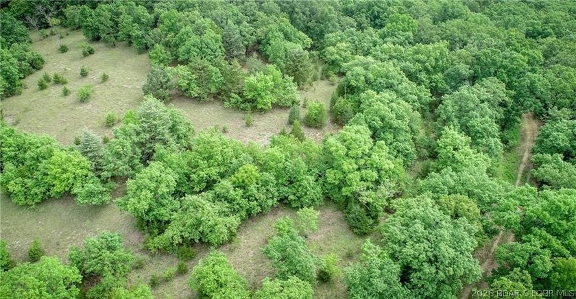 17 wooded acres with a clearing at the top of the property to - photo 10