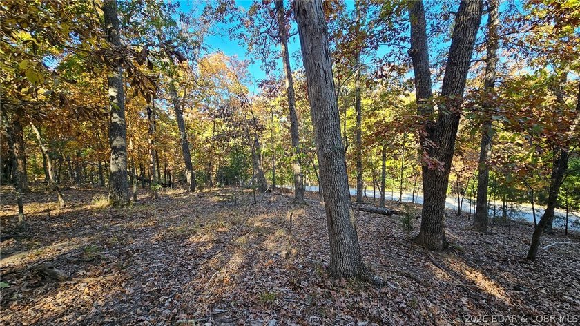Discover the perfect setting for your dream home in the - photo 10