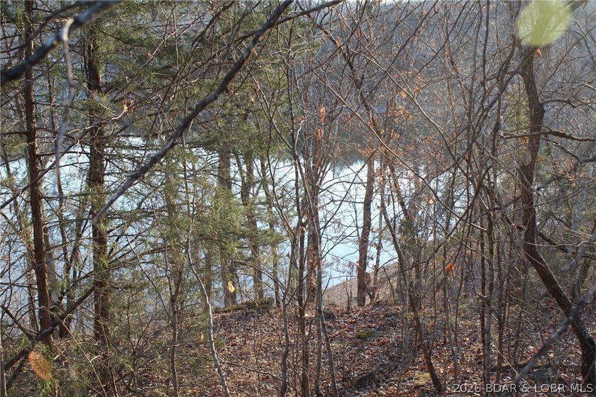 Gemini said PRISTINE LAKEFRONT LOT ON PRIVATE POCAHONTAS LAKE! - photo 8