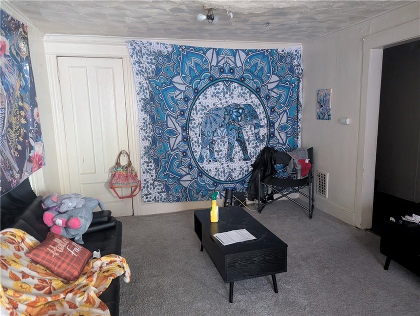 Another Rockin' Rochester Property! A well-maintained duplex - photo 10