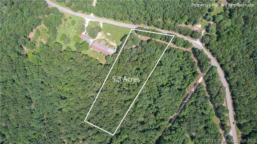 There is 5.3 acres of possibility. This expansive, mostly level - photo 11