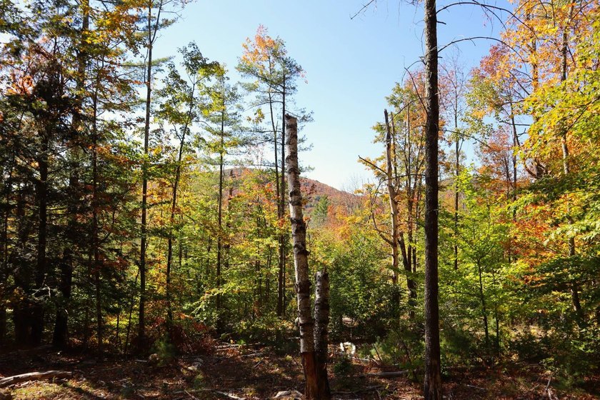 The perfect place to build your Adirondack dream home or camp - photo 2