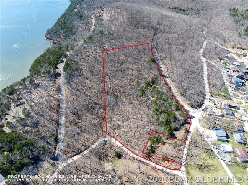 5.7 Acres that is wooded and a great parcel for your Lake View - photo 2