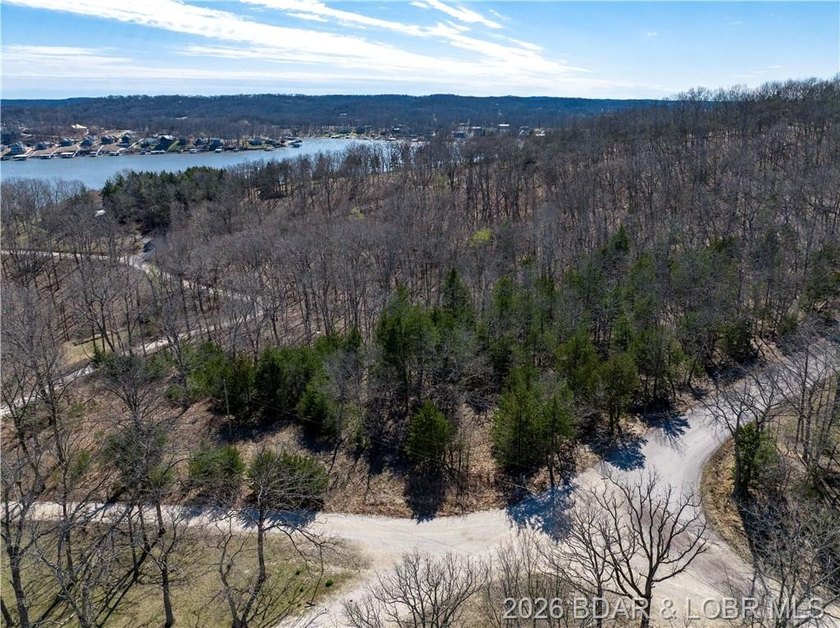 5.7 Acres that is wooded and a great parcel for your Lake View - photo 4