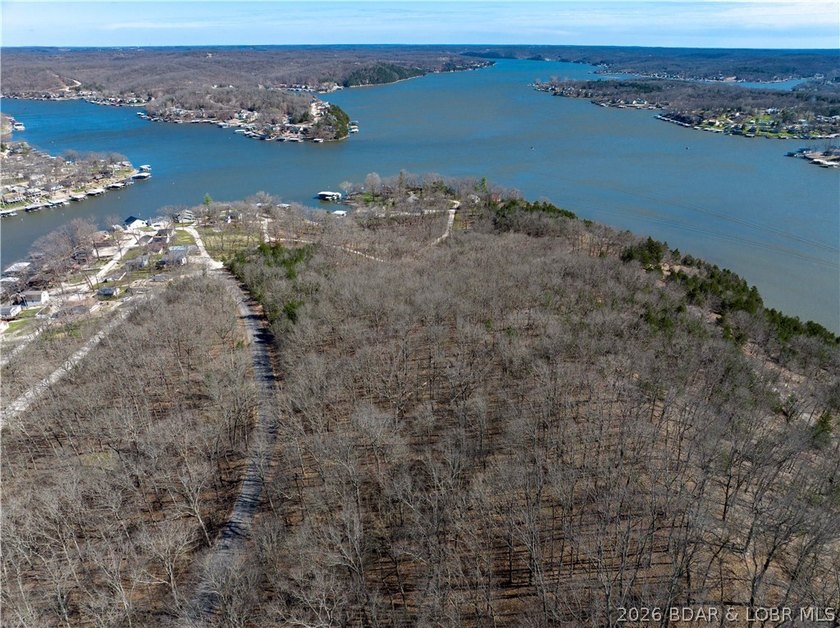 5.7 Acres that is wooded and a great parcel for your Lake View - photo 5