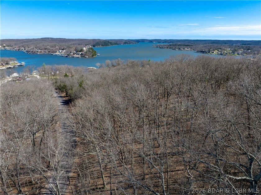 5.7 Acres that is wooded and a great parcel for your Lake View - photo 6