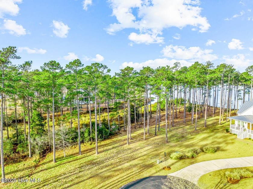 There's simply nothing like this peninsula view. 241 Oyster - photo 6