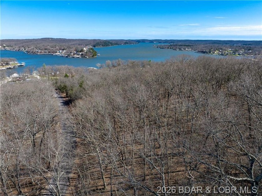 5.7 Acres that is wooded and a great parcel for your Lake View - photo 6