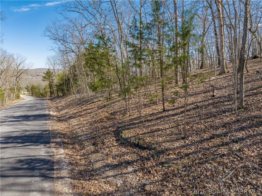 5.7 Acres that is wooded and a great parcel for your Lake View - photo 7