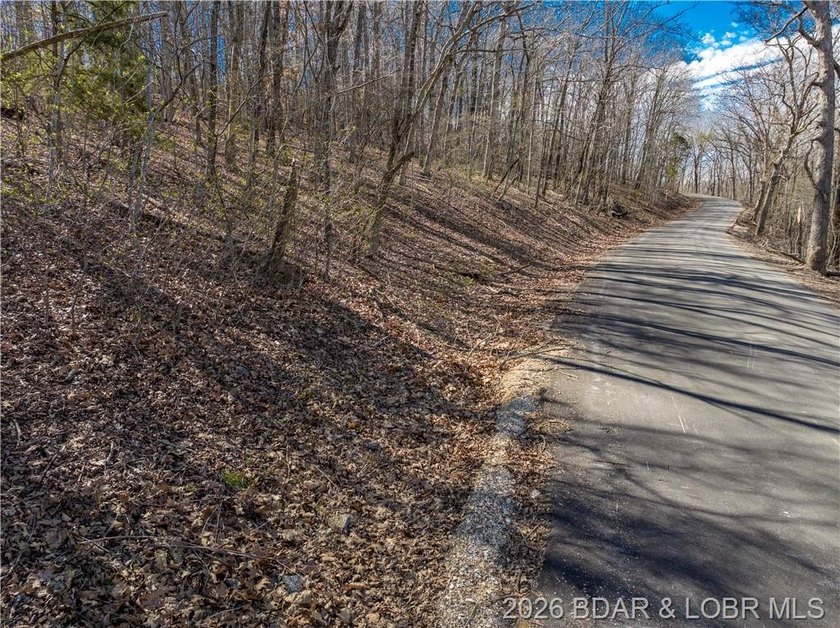 5.7 Acres that is wooded and a great parcel for your Lake View - photo 8