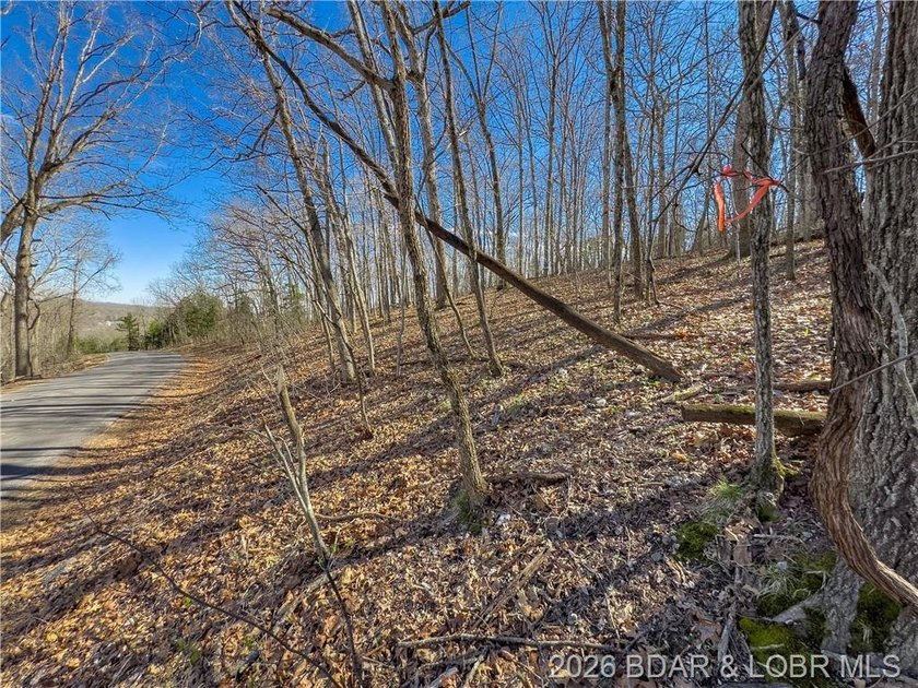 5.7 Acres that is wooded and a great parcel for your Lake View - photo 9