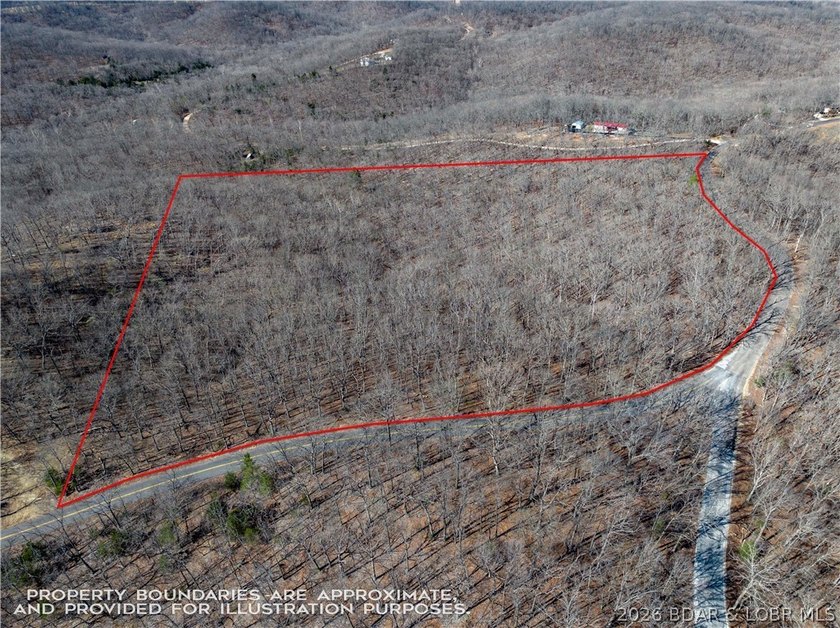 14.9 wooded Acres on paved road. Private and peaceful acreage - photo 2
