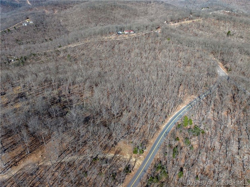 14.9 wooded Acres on paved road. Private and peaceful acreage - photo 3