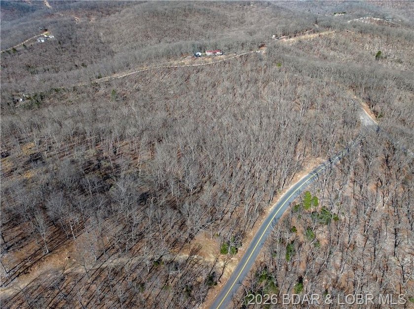 14.9 wooded Acres on paved road. Private and peaceful acreage - photo 3