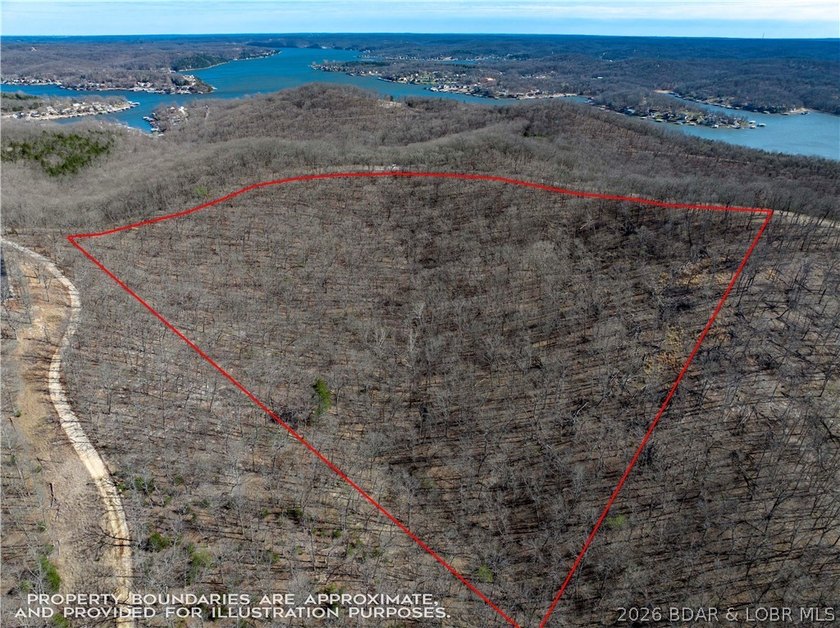 14.9 wooded Acres on paved road. Private and peaceful acreage - photo 4
