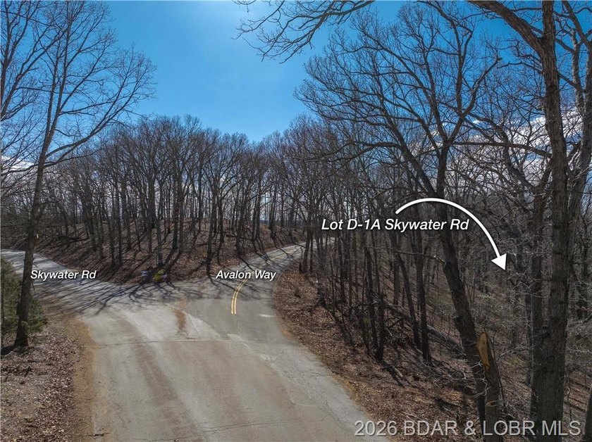 14.9 wooded Acres on paved road. Private and peaceful acreage - photo 5