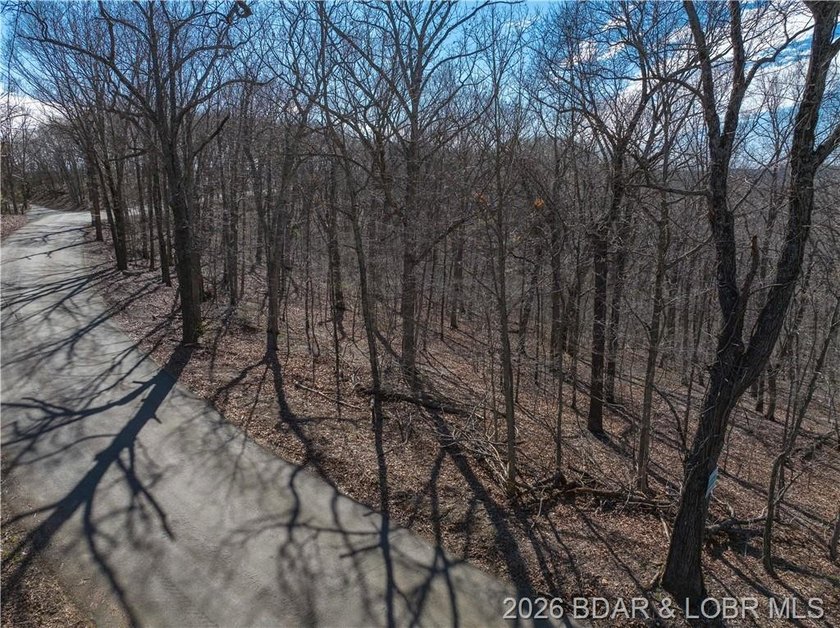 14.9 wooded Acres on paved road. Private and peaceful acreage - photo 8